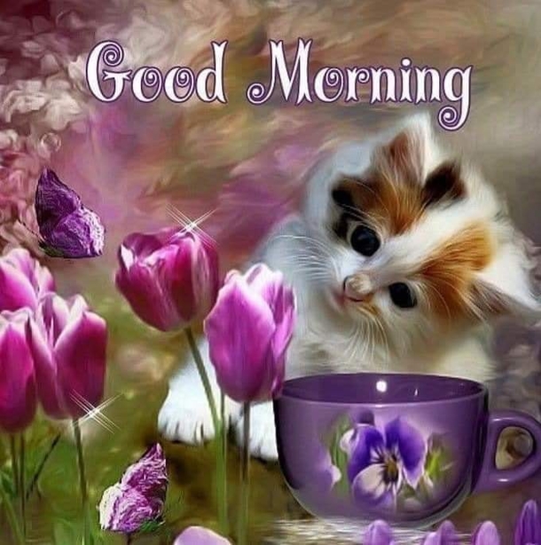 Good Morning Quotes That Will Motivate and Inspire Your Day - picture 9