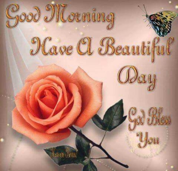 Good Morning Quotes To Really Bless Your Day - picture 10