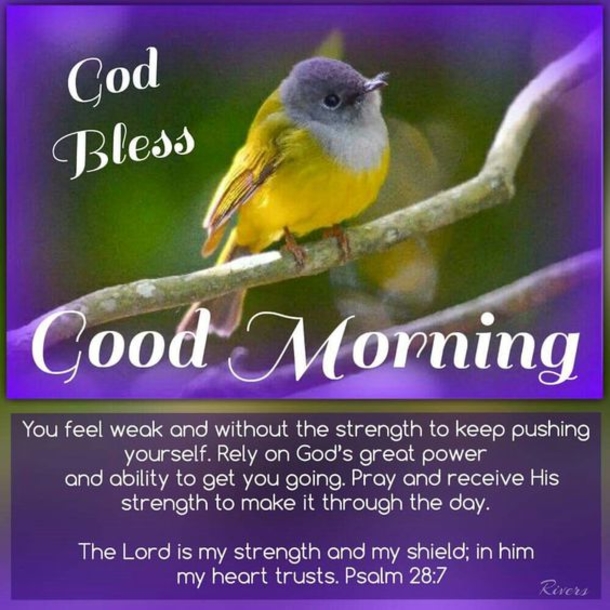Good Morning Quotes To Really Bless Your Day - picture 2