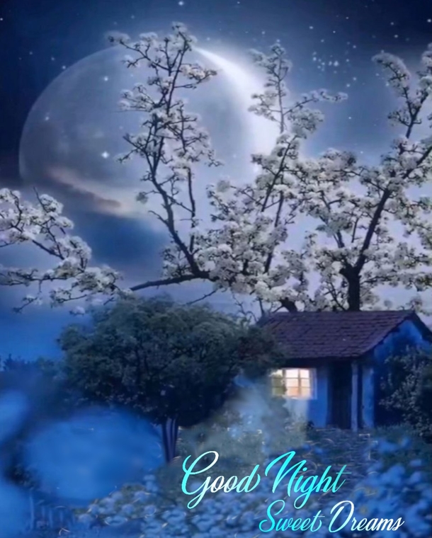 Good Night Quotes to Soothe Your Soul and Calm Your Mind - picture 10