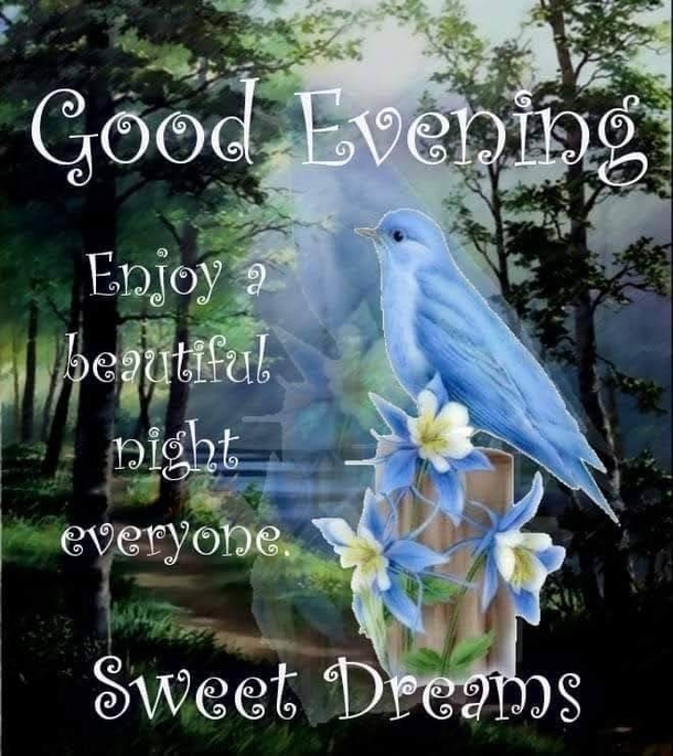 Good Night Thoughts And Messages For 2023 - picture 9