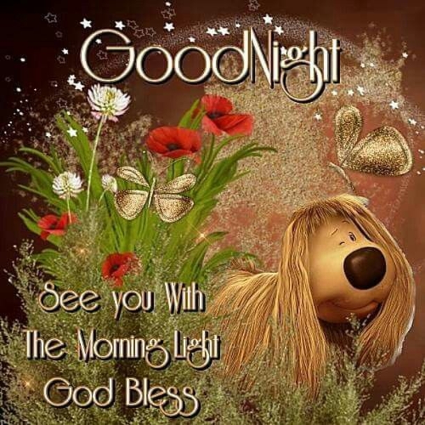 Good Night Wishes, Greetings And Blessings To Share - picture 7
