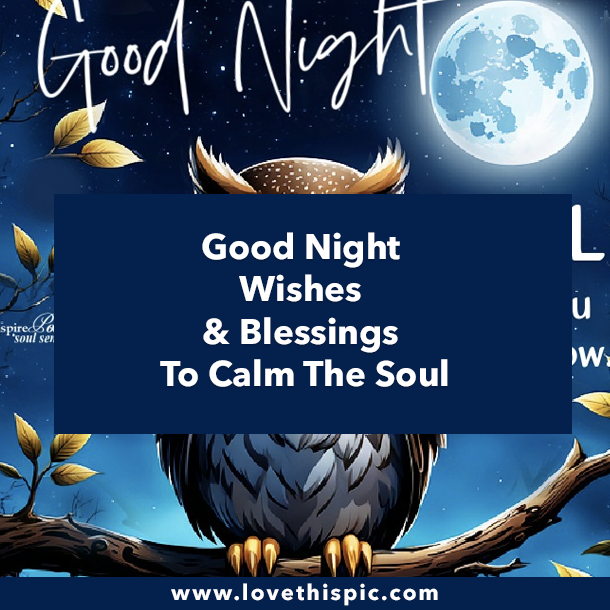 Good Night Wishes & Blessings To Calm The Soul