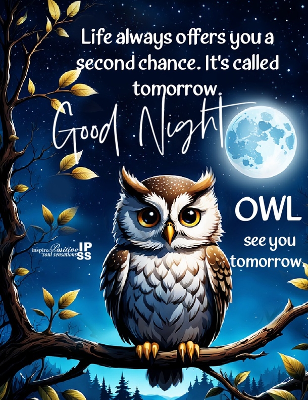 Good Night Wishes & Blessings To Calm The Soul - picture 2