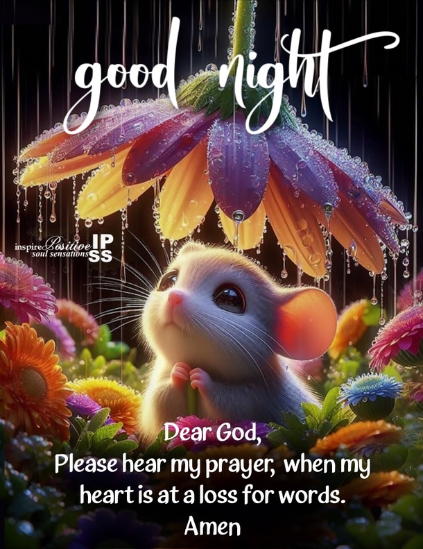 Good Night Wishes & Blessings To Calm The Soul - picture 3
