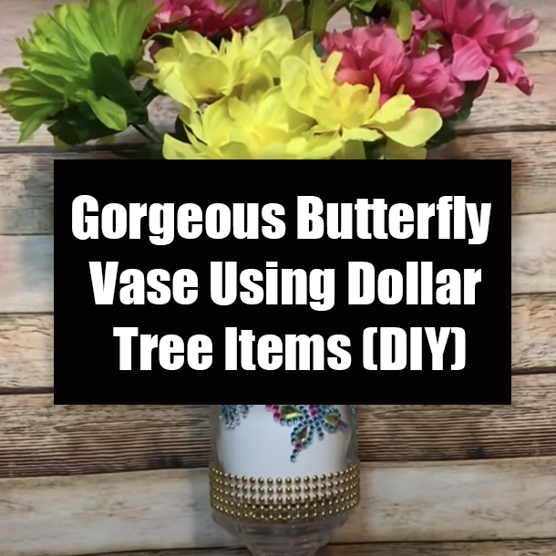 Gorgeous Butterfly Vase Using Dollar Tree Items (DIY)