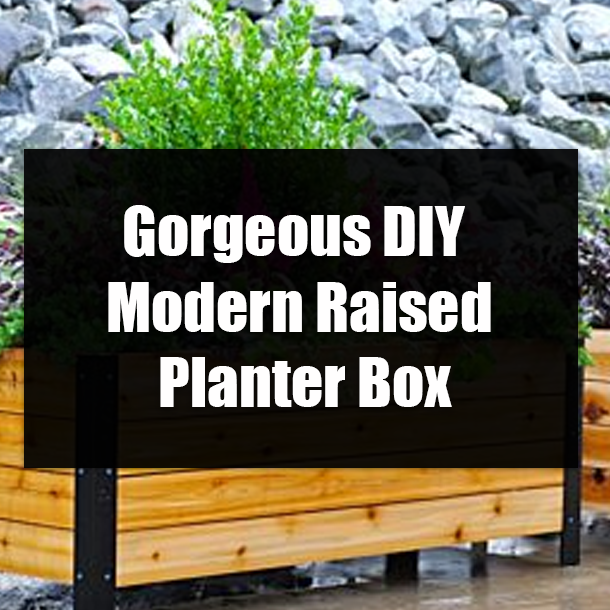 Gorgeous DIY Modern Raised Planter Box