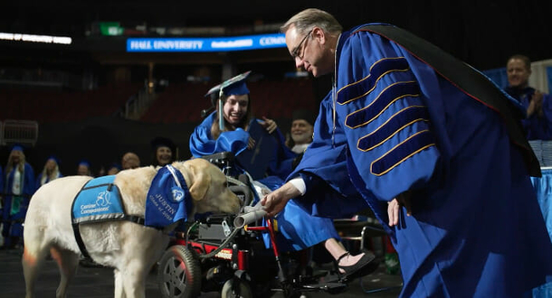 Graduation Triumph: Service Dog Receives Honorary Diploma For Attending Every Class With Owner - picture 2