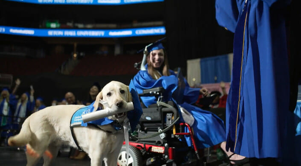 Graduation Triumph: Service Dog Receives Honorary Diploma For Attending Every Class With Owner - picture 3