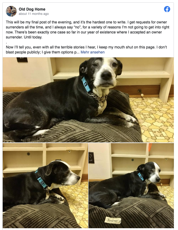 Grandpa wants vet to put his dog down because he doesn’t want her anymore - picture 4
