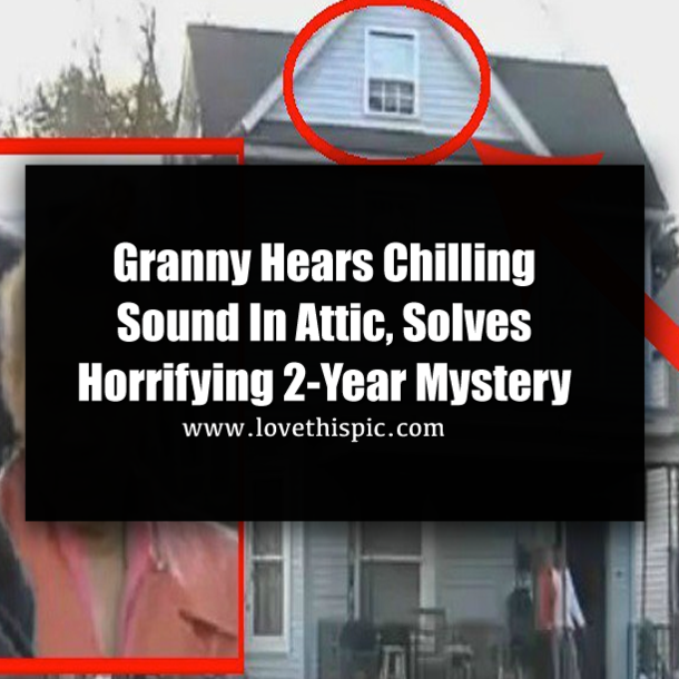 Granny Hears Chilling Sound In Attic, Solves Horrifying 2-Year Mystery