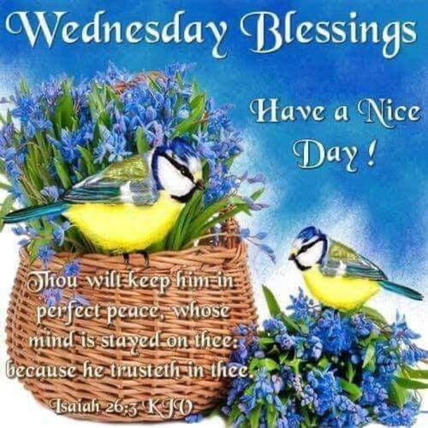 Grateful Wednesday: 10 Wednesday Blessings That'll Make Your Day - picture 11