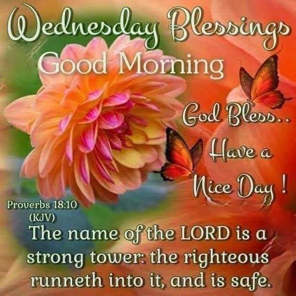 Grateful Wednesday: 10 Wednesday Blessings That'll Make Your Day - picture 6