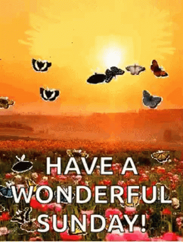 Great Sunday Gifs And Quotes To Start This Beautiful Day - picture 10