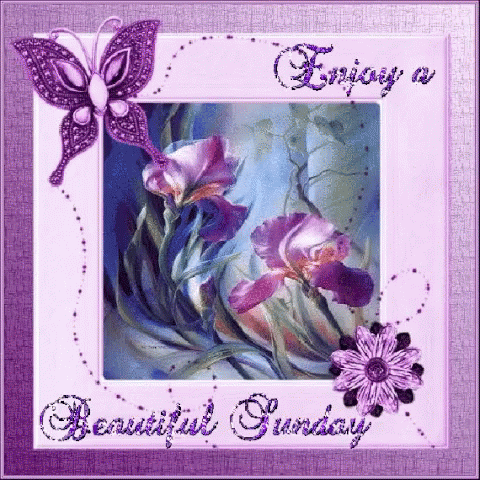 Great Sunday Gifs And Quotes To Start This Beautiful Day - picture 3