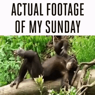 Great Sunday Gifs And Quotes To Start This Beautiful Day - picture 4