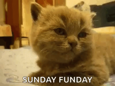 Great Sunday Gifs And Quotes To Start This Beautiful Day - picture 5