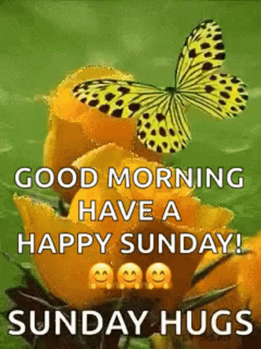 Great Sunday Gifs And Quotes To Start This Beautiful Day - picture 6
