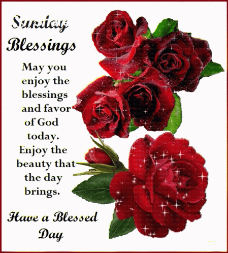 Great Sunday Gifs And Quotes To Start This Beautiful Day - picture 7