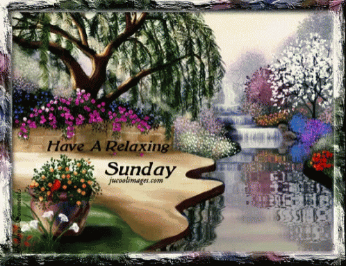 Great Sunday Gifs And Quotes To Start This Beautiful Day - picture 8