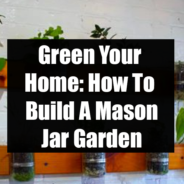 Green Your Home: How To Build A Mason Jar Garden