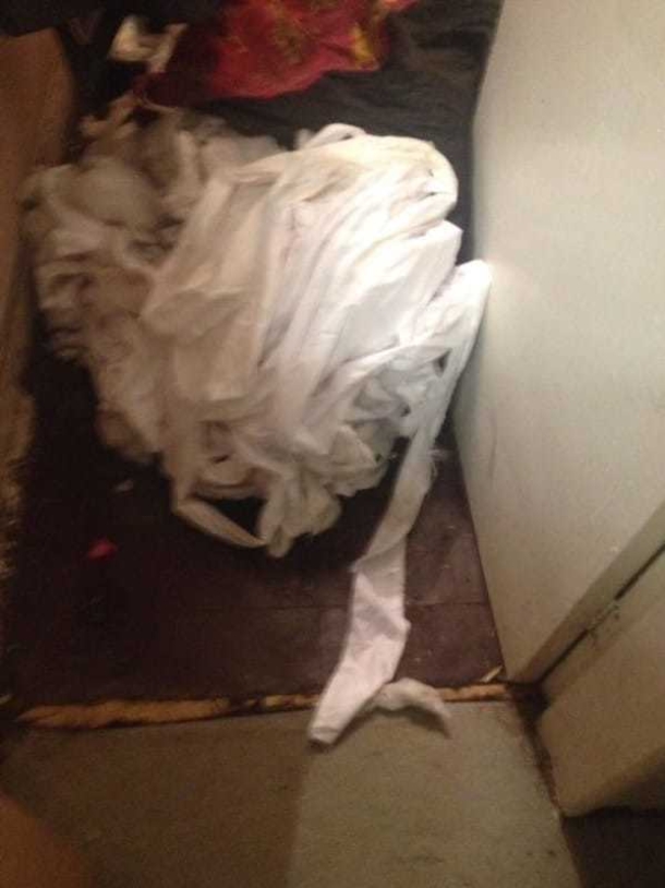 Grieving Owners Beg Parents To Check Pet Beds For Stuffing That Killed Their Beloved Dog - picture 6