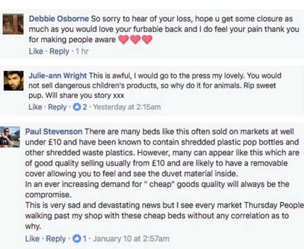 Grieving Owners Beg Parents To Check Pet Beds For Stuffing That Killed Their Beloved Dog - picture 7