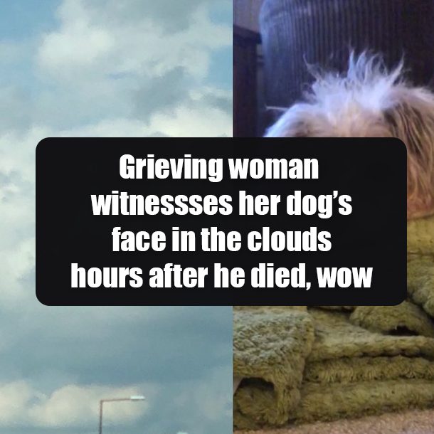 Grieving woman witnessses her dog’s face in the clouds hours after he died, wow