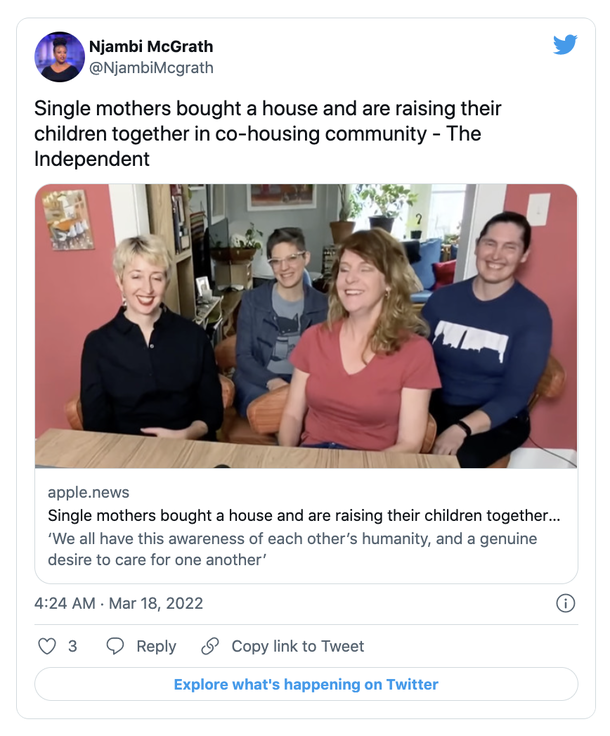 Group of single Mothers buy a house to raise their children together in a co-live community that supports each other - picture 2