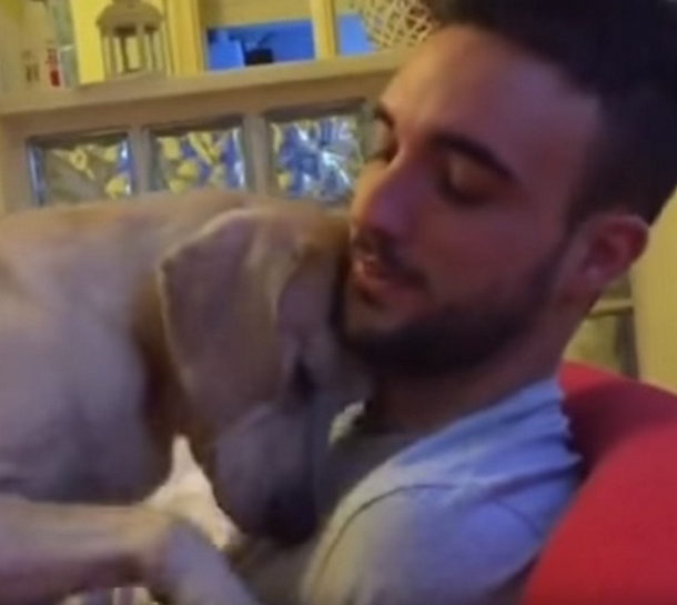 Guilty Dog Scolded By Man, Laughter Erupts When He Gets An Unexpected Response - picture 5