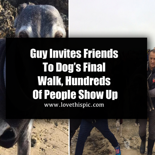Guy Invites Friends To Dog’s Final Walk, Hundreds Of People Show Up