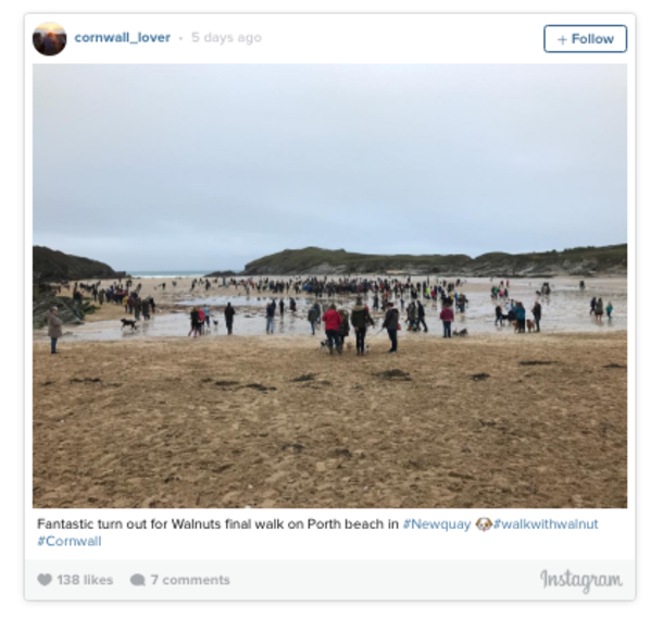 Guy Invites Friends To Dog’s Final Walk, Hundreds Of People Show Up - picture 6