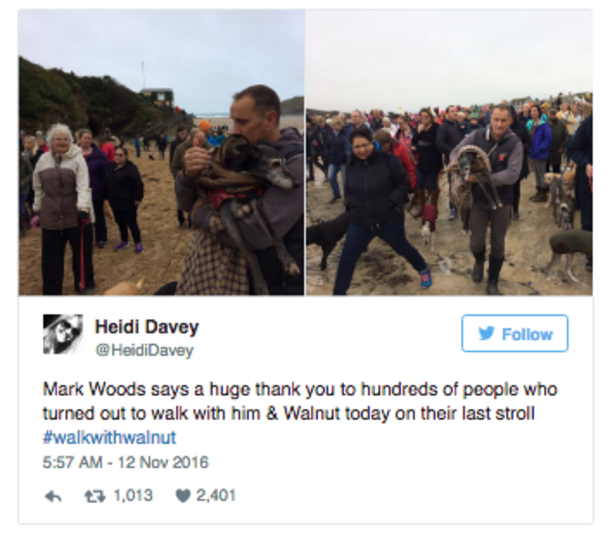 Guy Invites Friends To Dog’s Final Walk, Hundreds Of People Show Up - picture 8