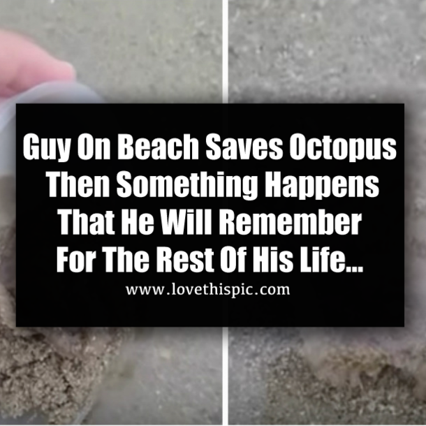 Guy On Beach Saves Octopus Then Something Happens That He Will Remember For The Rest Of His Life...