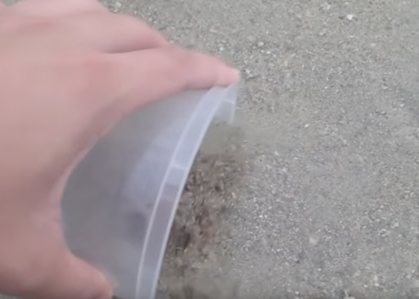 Guy On Beach Saves Octopus Then Something Happens That He Will Remember For The Rest Of His Life... - picture 2