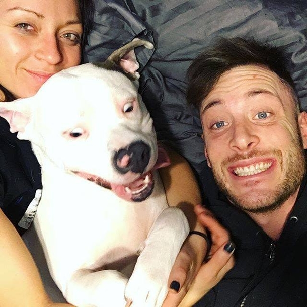 Guy Posts This Picture Of His New Dog And People Immediately Call The Police On Him - picture 15