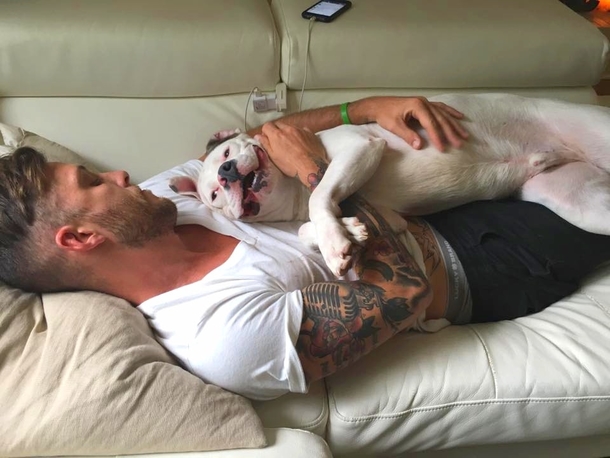 Guy Posts This Picture Of His New Dog And People Immediately Call The Police On Him - picture 7