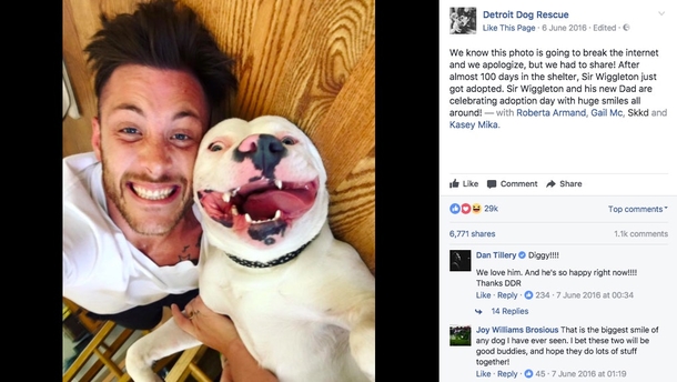 Guy Posts This Picture Of His New Dog And People Immediately Call The Police On Him - picture 9