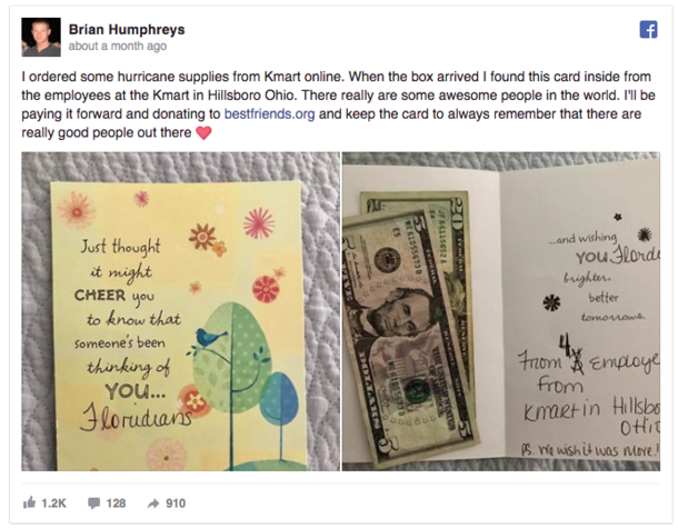 Guy Purchases Hurricane Supplies On The Internet. Was Surprised By What Was Hidden Inside Once He Opened The Box - picture 3