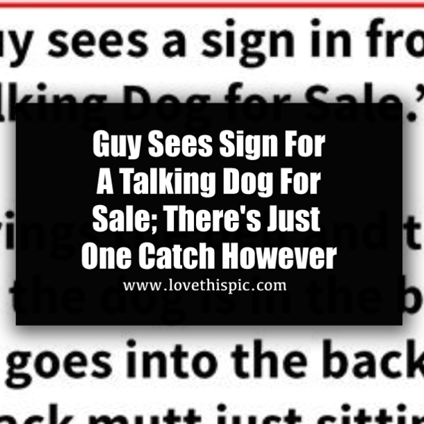 Guy Sees Sign For A Talking Dog For Sale; There's Just One Catch However
