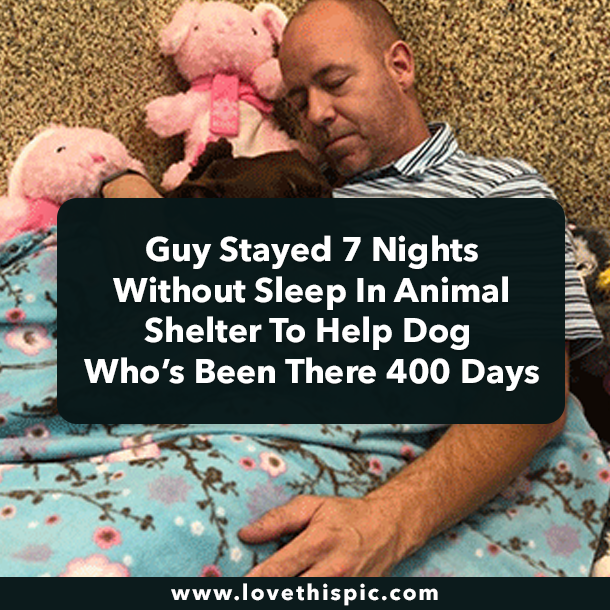Guy Stayed 7 Nights Without Sleep In Animal Shelter To Help Dog Who’s Been There 400 Days