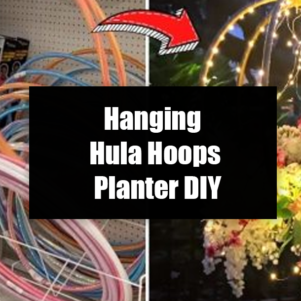 Hanging Hula Hoops Planter DIY