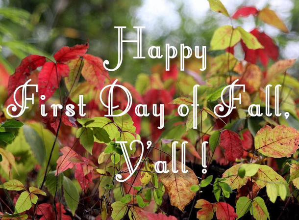 Happy First Day Of Fall Quotes, Images And Pictures - picture 2