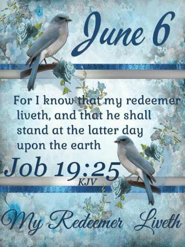 Happy June 6 Quotes, Sayings And Messages - picture 3