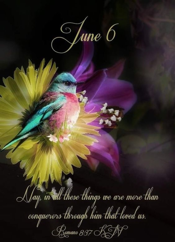 Happy June 6 Quotes, Sayings And Messages - picture 5