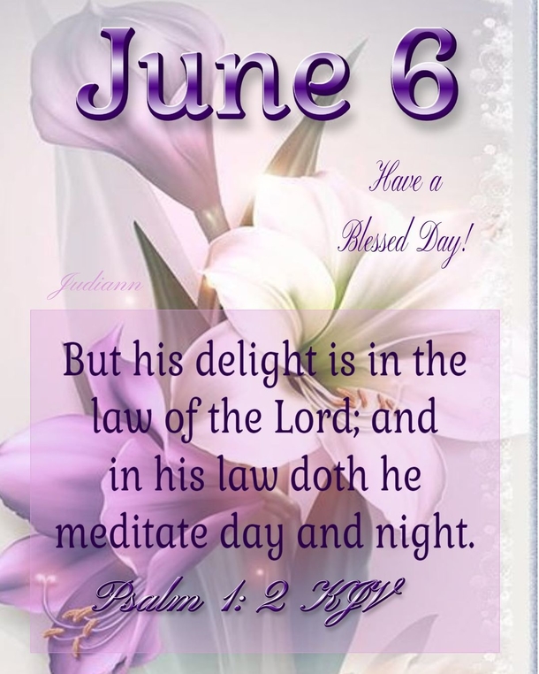 Happy June 6 Quotes, Sayings And Messages - picture 6