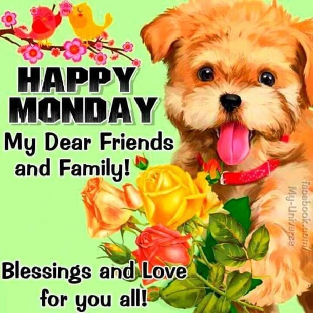 Happy Monday Wishes To Start This Blessed New Week - picture 11