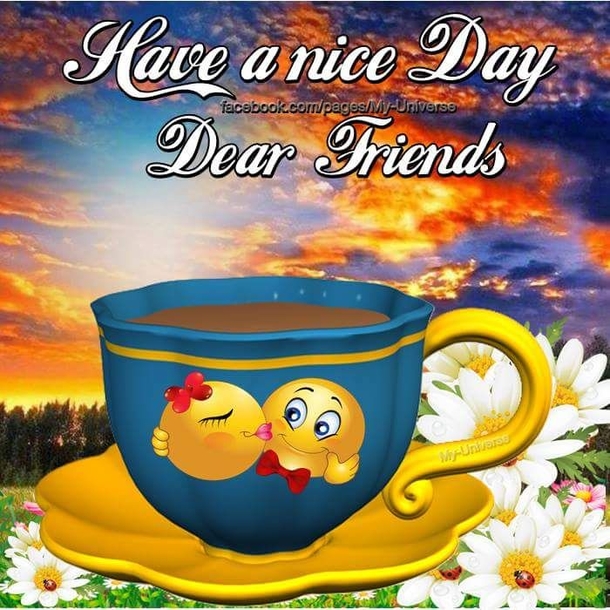Happy Morning! Here Are 10 Beautiful Good Morning Images & Quotes Just For You! - picture 5