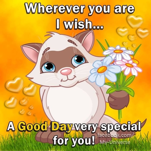Happy Morning! Here Are 10 Beautiful Good Morning Images & Quotes Just For You! - picture 7