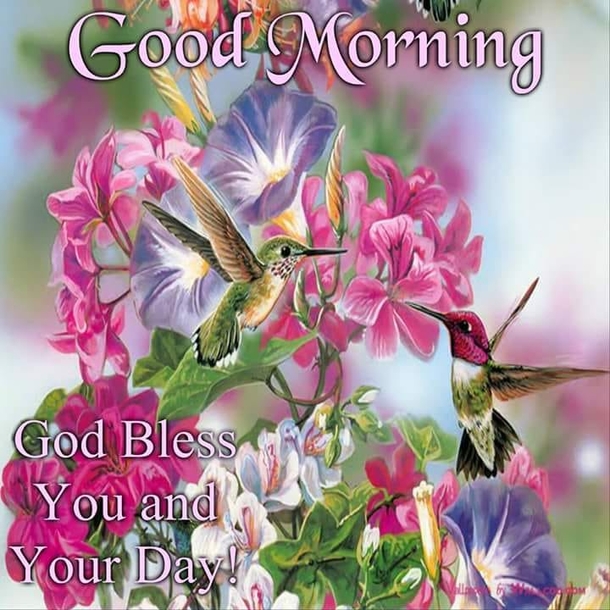 Happy Morning! Here's 10 Good Morning Quotes To Start A Beautiful Day - picture 11